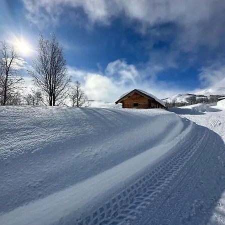 Panorama *