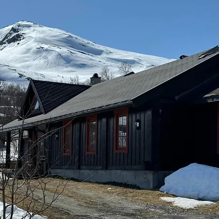 Panorama *
